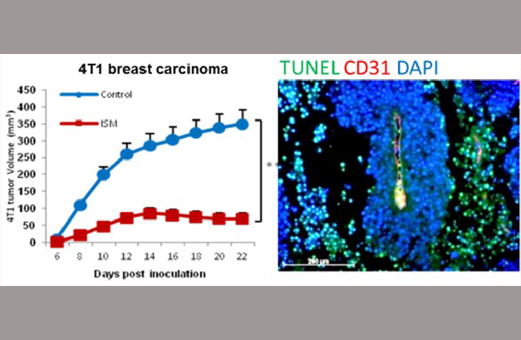 Targeting cell-surface GRP78 for cancer therapy