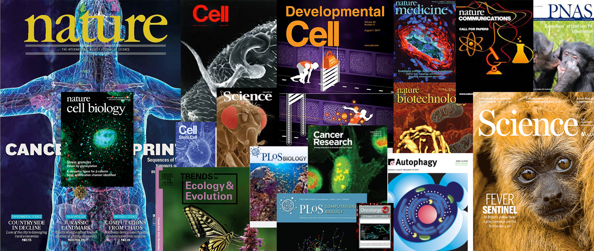 Research Publications | NUS Biological Sciences