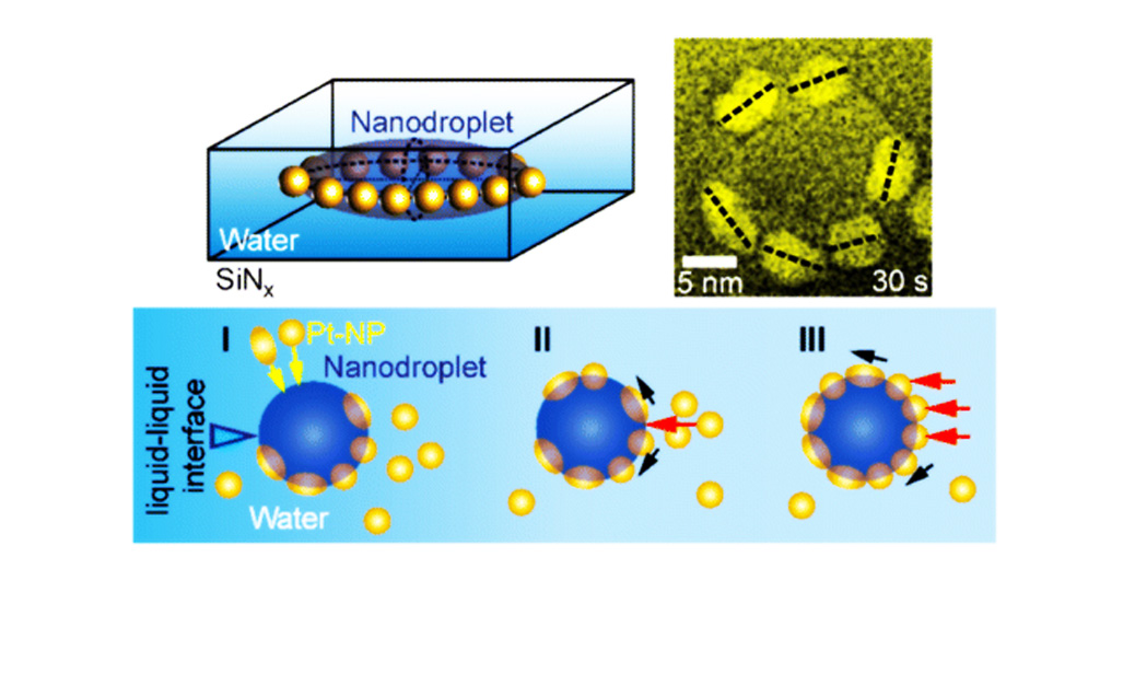 NANODROPLET-MEDIATED ASSEMBLY OF PLATINUM NANOPARTICLE RINGS IN SOLUTION
