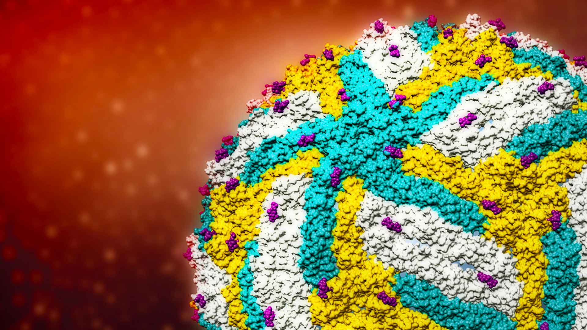 STRUCTURE OF THE THERMALLY STABLE ZIKA VIRUS