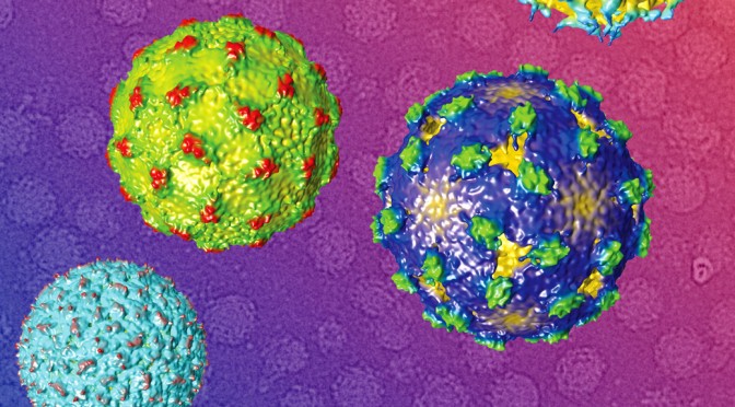 STRUCTURAL CHANGES IN DENGUE VIRUS WHEN EXPOSED TO A TEMPERATURE OF 37°C