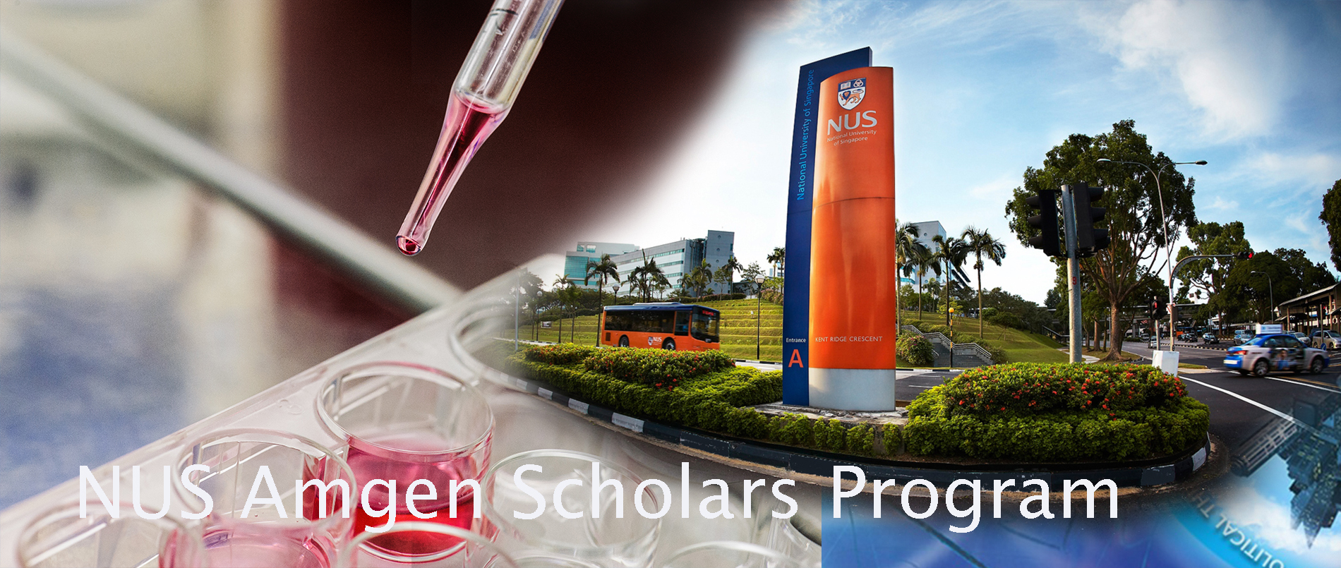 NUS Amgen Scholars Program