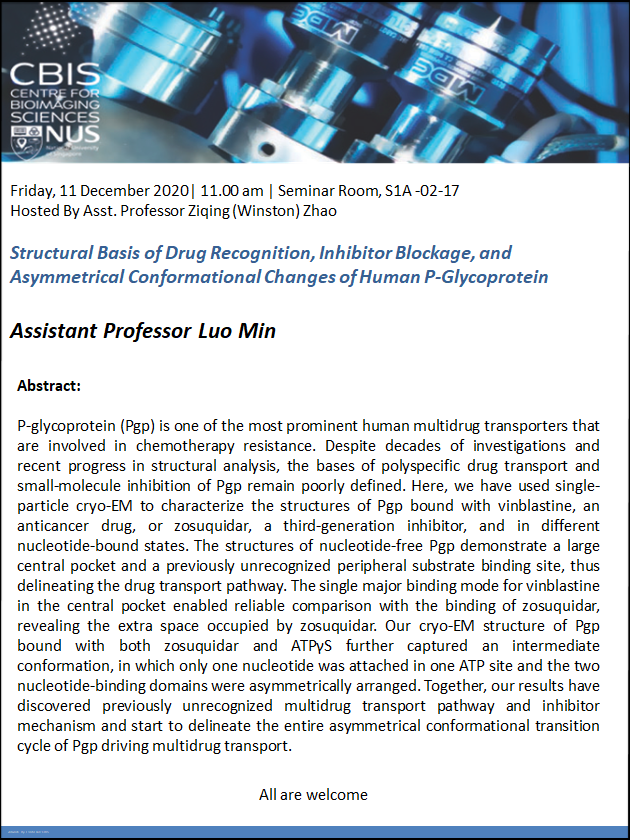 CBIS Seminar: Structural basis of drug recognition, inhibitor blockage, and asymmetrical conformational changes of human P-glycoprotein by Luo Min