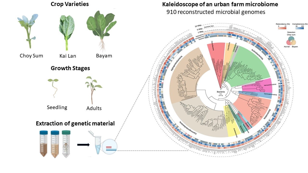 Kaleidoscope of an urban farm microbiome: Sustainable crop production | Sanjay Swarup