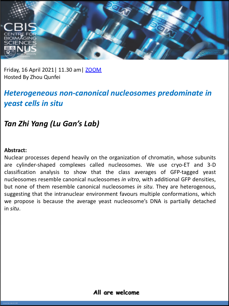 CBIS Seminar: Heterogeneous non-canonical nucleosomes predominate in yeast cells in situ by Tan Zhi Yang