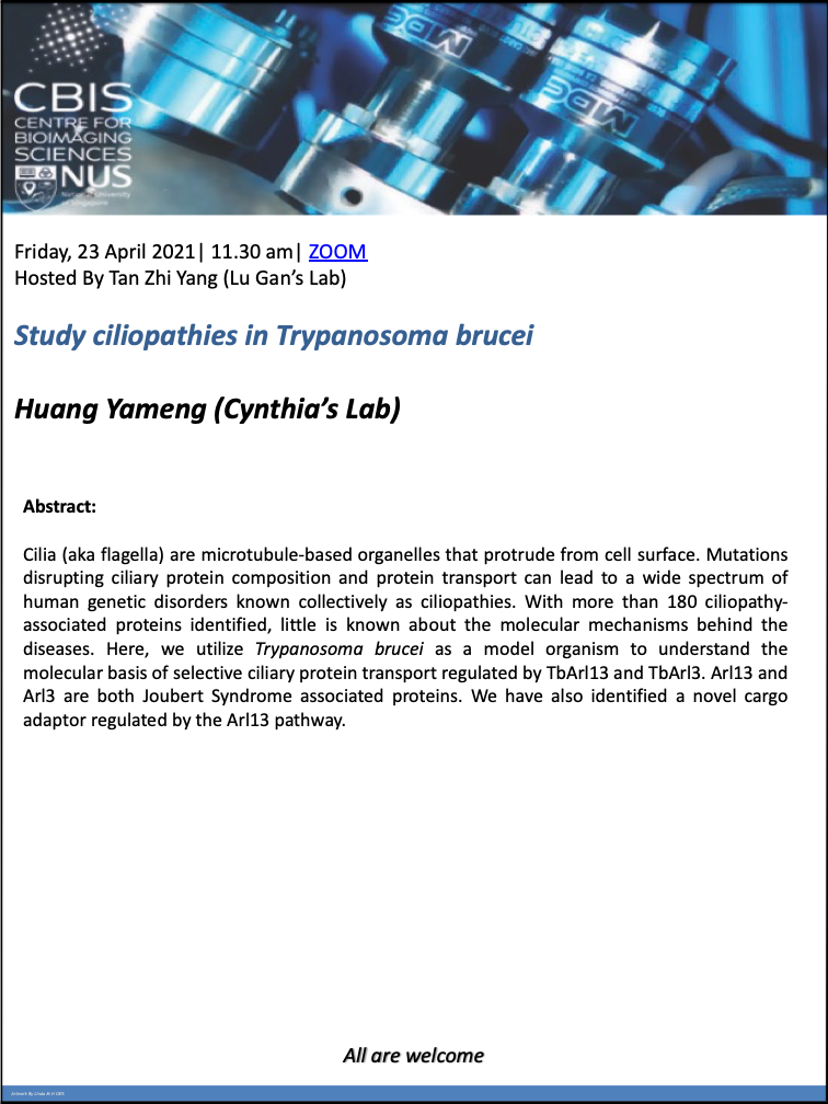 CBIS Seminar: Study ciliopathies in Trypanosoma brucei by Huang Yameng