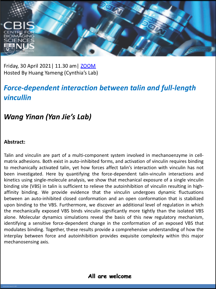 CBIS Seminar: Force-dependent interaction between talin and full-length vinculin by Wang Yinan