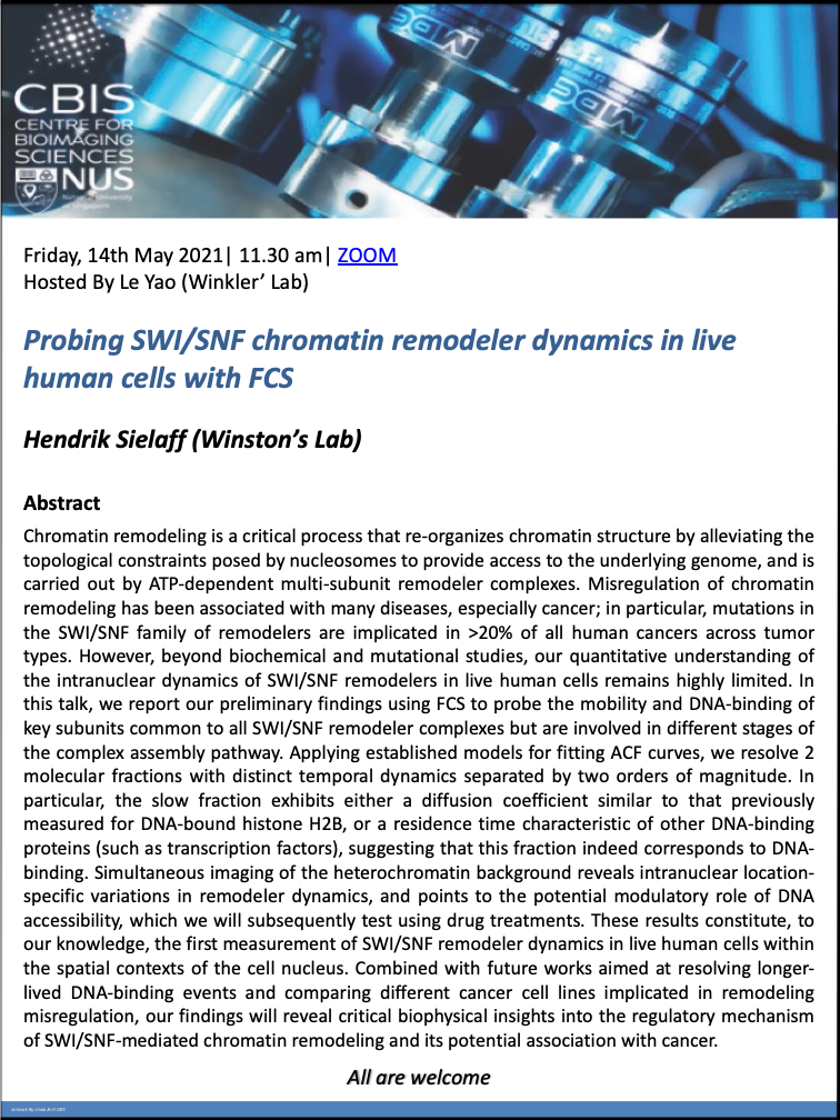 CBIS Seminar: Probing SWI/SNF chromatin remodeler dynamics in live human cells with FCS by Hendrik Sielaff