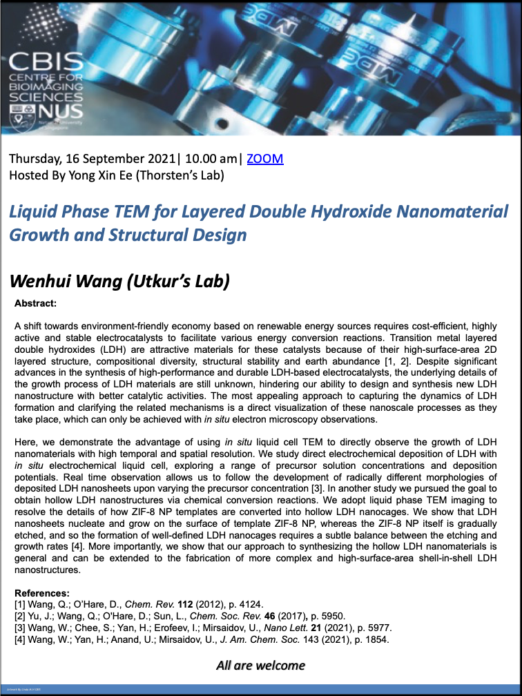 CBIS Seminar: Liquid phase TEM for layered double hydroxide nanomaterial growth and structural design by Wenhui Wang