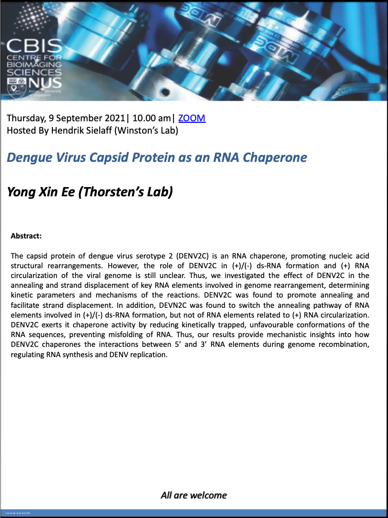 CBIS Seminar: Dengue virus capsid protein as an RNA chaperone by Yong Xin Ee