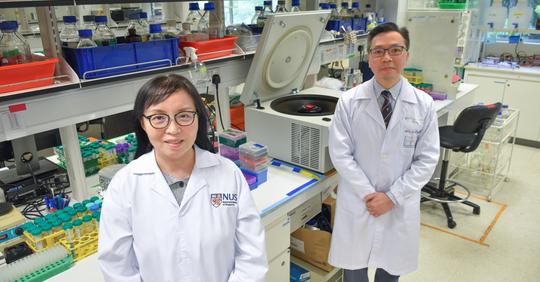 A/P Ge Ruowen and team found a biologic drug for the treatment of chronic lung disease