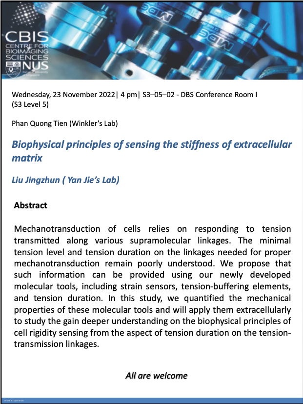 CBIS Seminar: Biophysical principles of sensing the stiffness of extracellular matrix