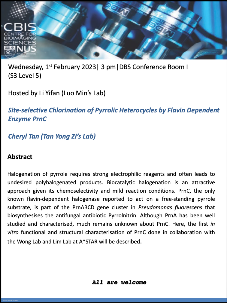 CBIS Seminar: Site-selective chlorination of pyrrolic heterocycles by flavin dependent enzyme PrnC
