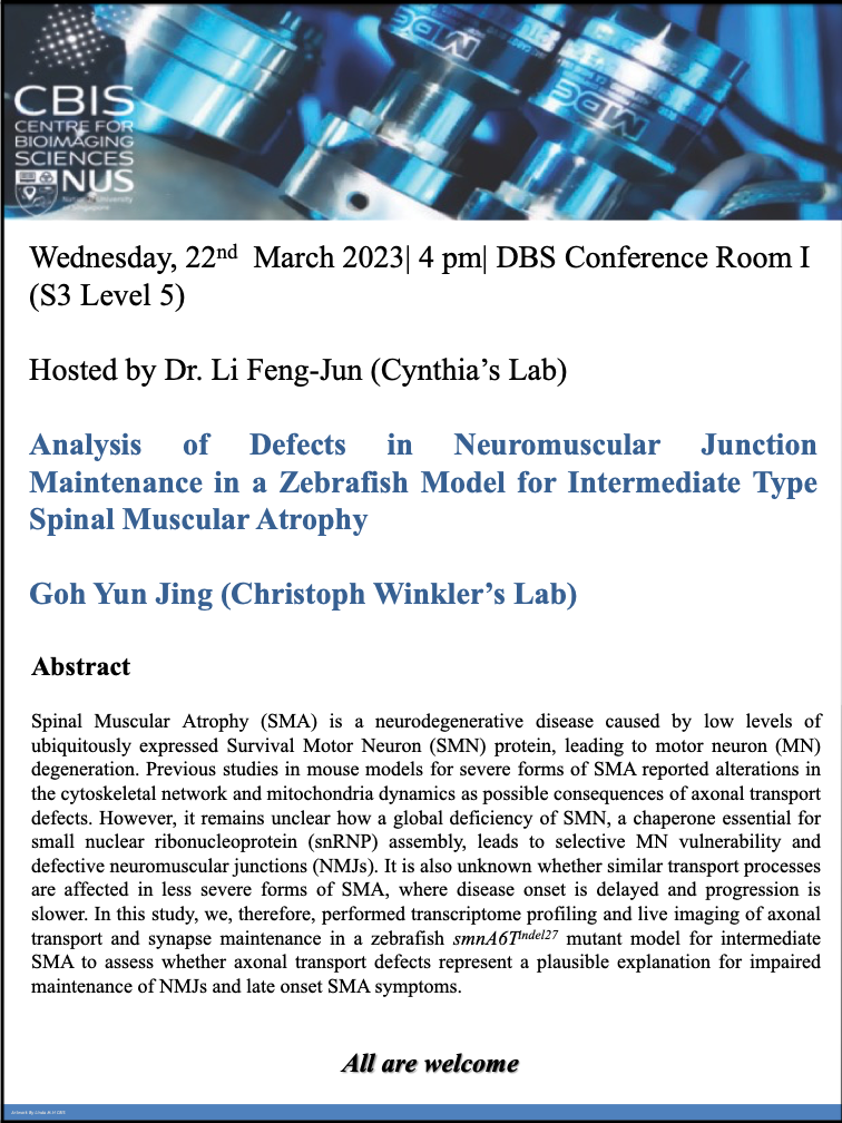 CBIS Seminar: Analysis of defects in neuromuscular junction maintenance in a zebrafish model for intermediate type spinal muscular atrophy