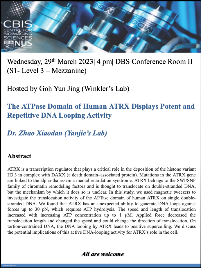 CBIS Seminar: The ATPase domain of human ATRX displays potent and repetitive DNA looping activity