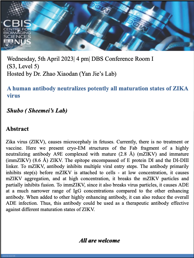 CBIS Seminar: A human antibody neutralizes potently all maturation states of ZIKA virus
