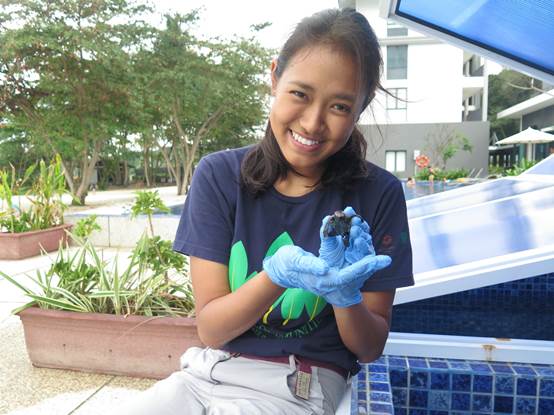 Turning the tide towards better marine conservation – Ms Crystle Wee