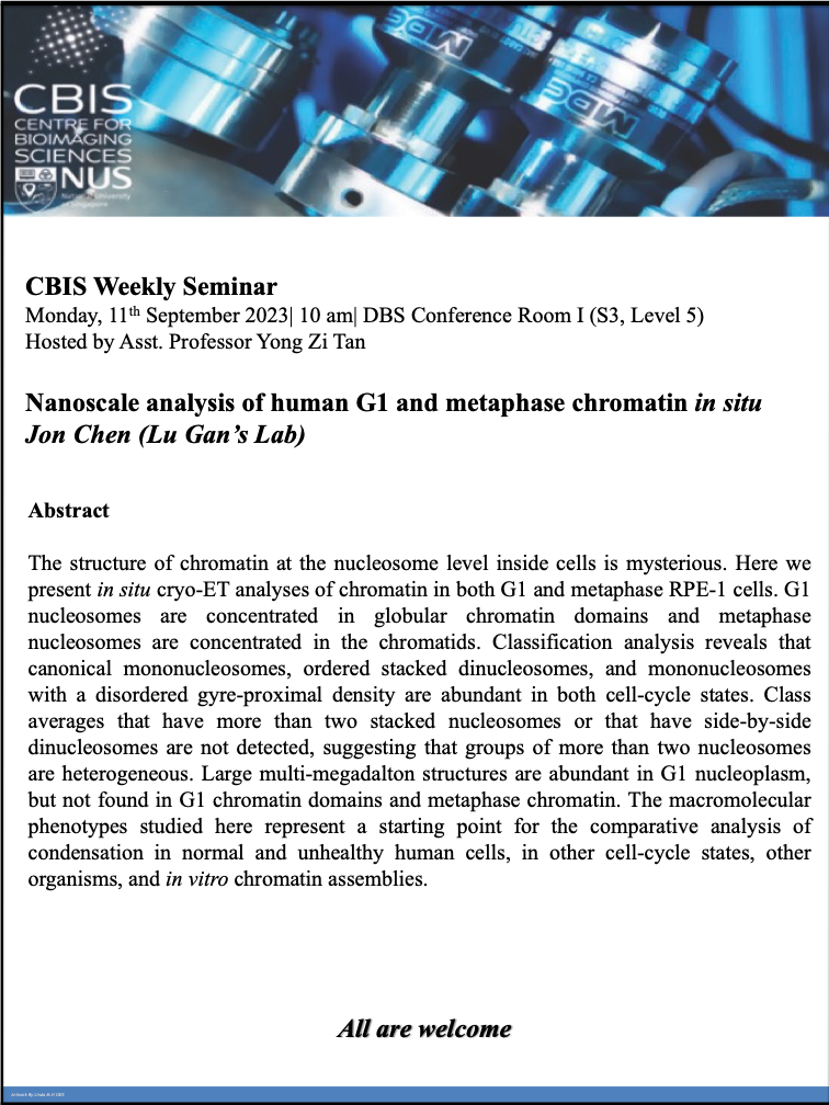 CBIS Seminar: Nanoscale analysis of human G1 and metaphase chromatin in situ