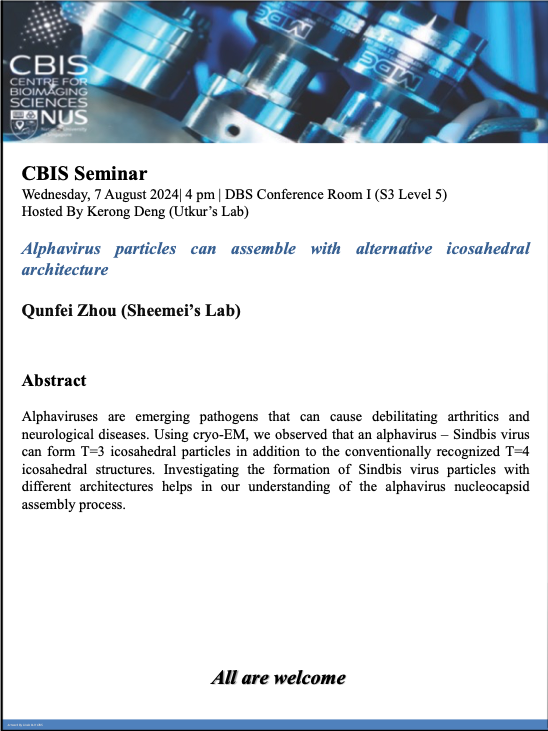 CBIS Seminar: Alphavirus particles can assemble with alternative icosahedral architecture