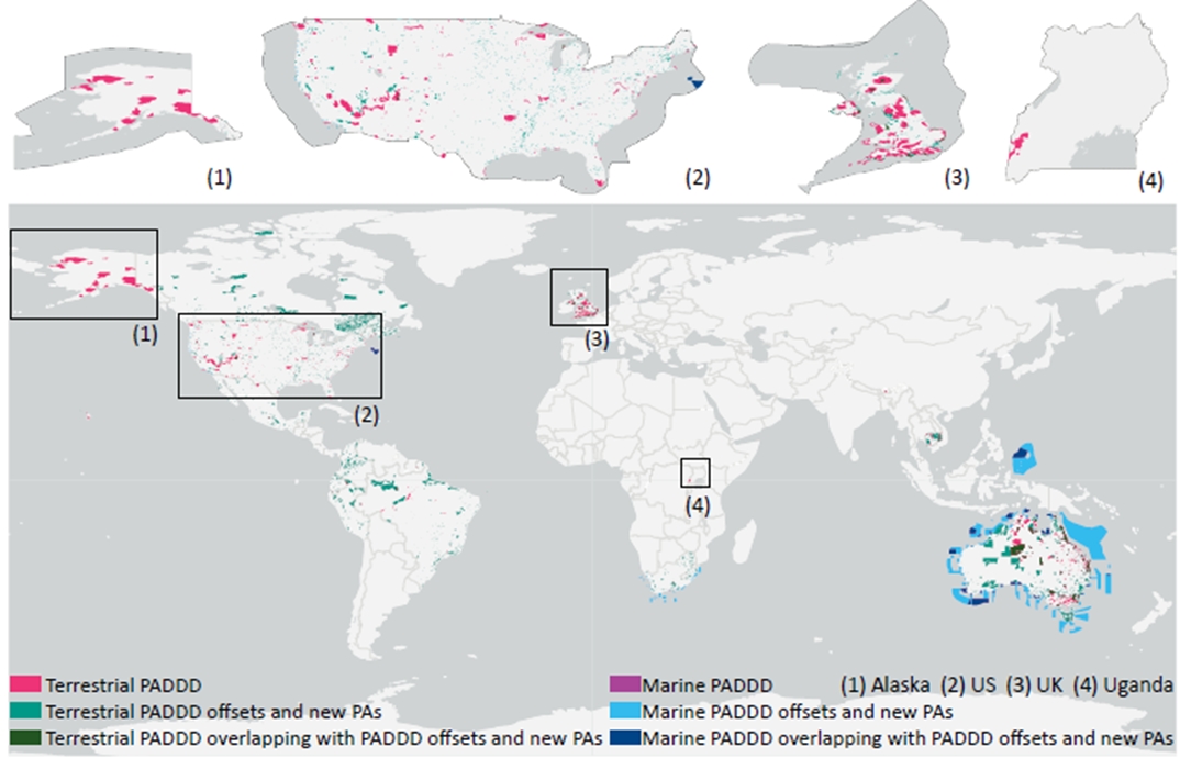 RESEARCH – Inadequate compensation for lost or downgraded protected areas threatens global biodiversity