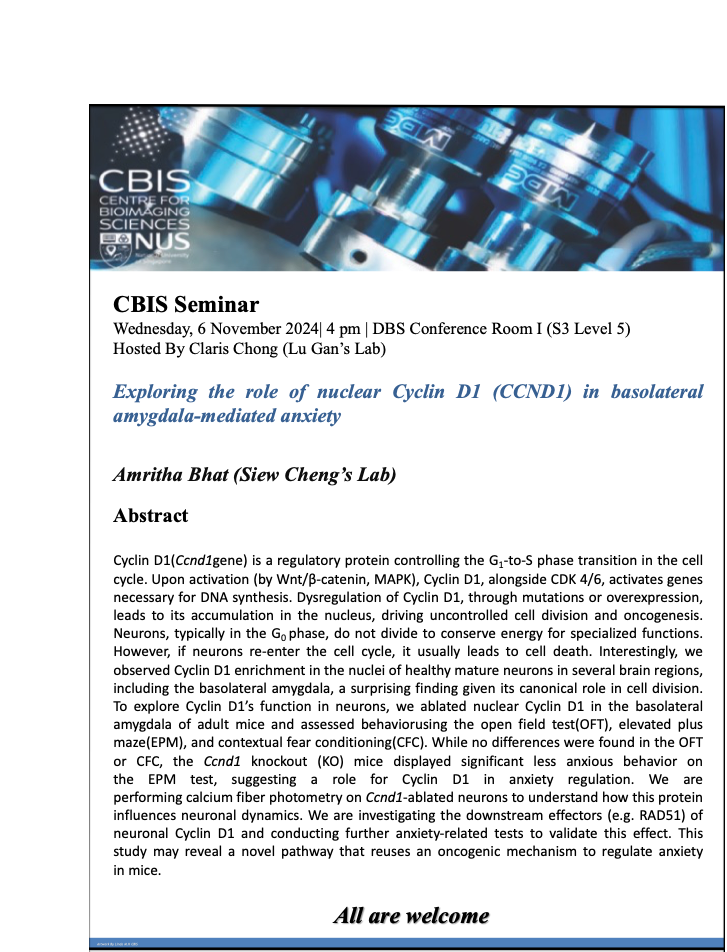 CBIS Seminar: Exploring the role of nuclear Cyclin D1 (CCND1) in basolateral amygdala-mediated anxiety